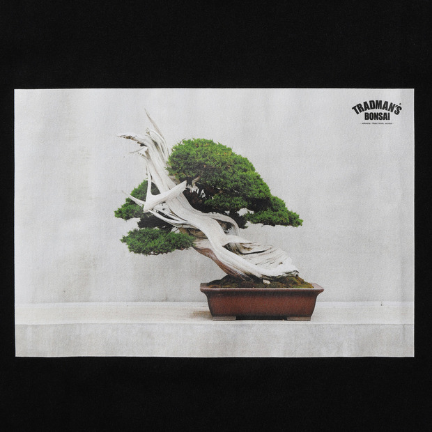 BONSAI PHOTO T-SHIRT　-真柏- 詳細画像